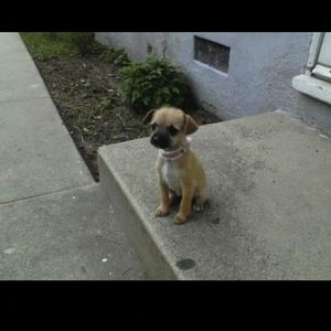 Meet your Posher, Patricia